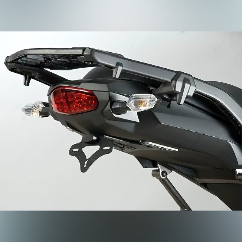 Tail Tidy Kawasaki R&G (LP0117BK)