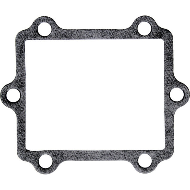 MOTO TASSINARI DELTA REED GASKET SUZ G09