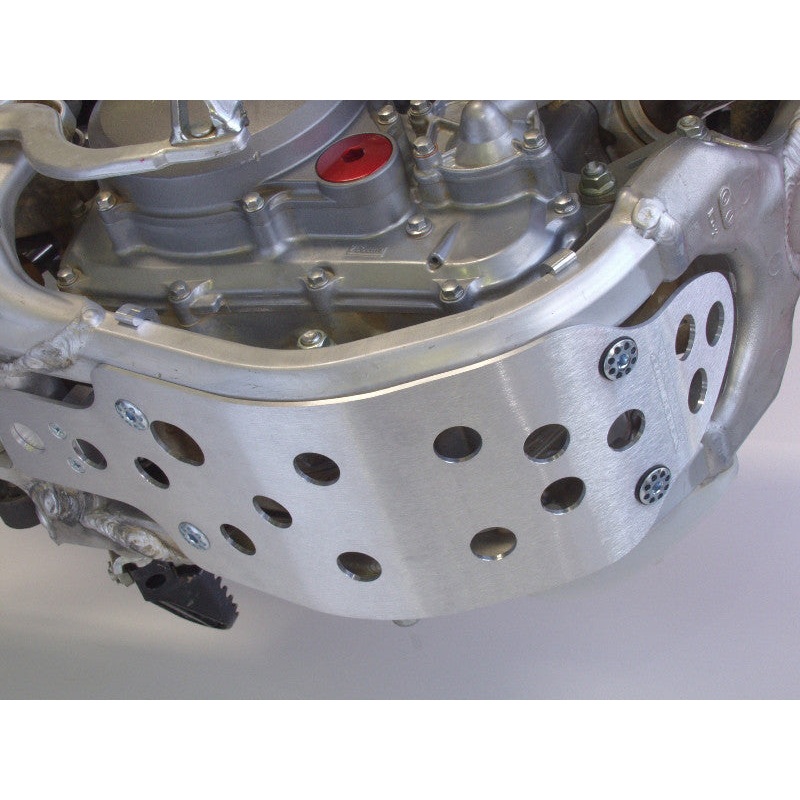 WORKS SKID PLATE W/(RIMS) SYSTEM 10-073
