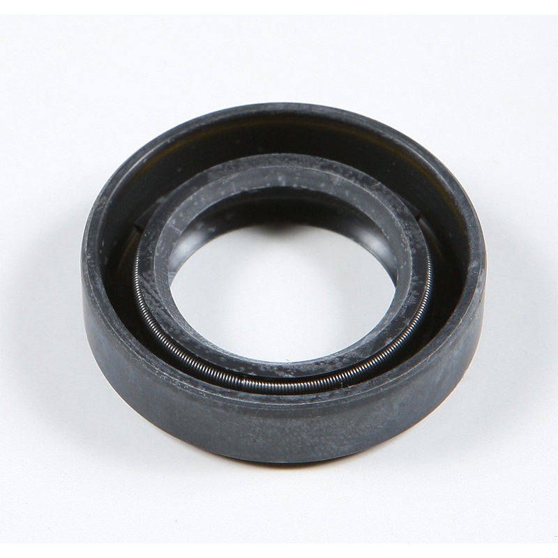 SP1 OIL SEAL 25 X 41.55 X 10 09-118
