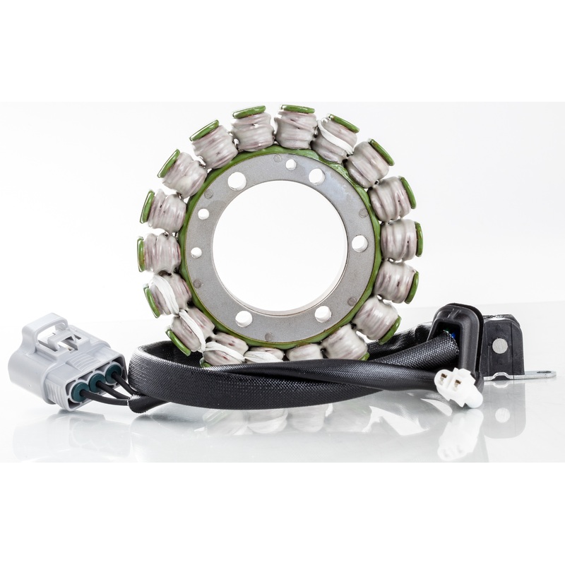 RICKS STATOR 21-819