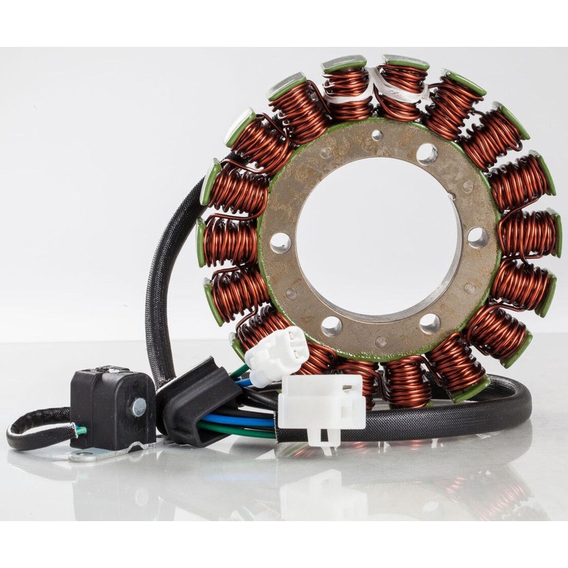 RICKS STATOR 21-062