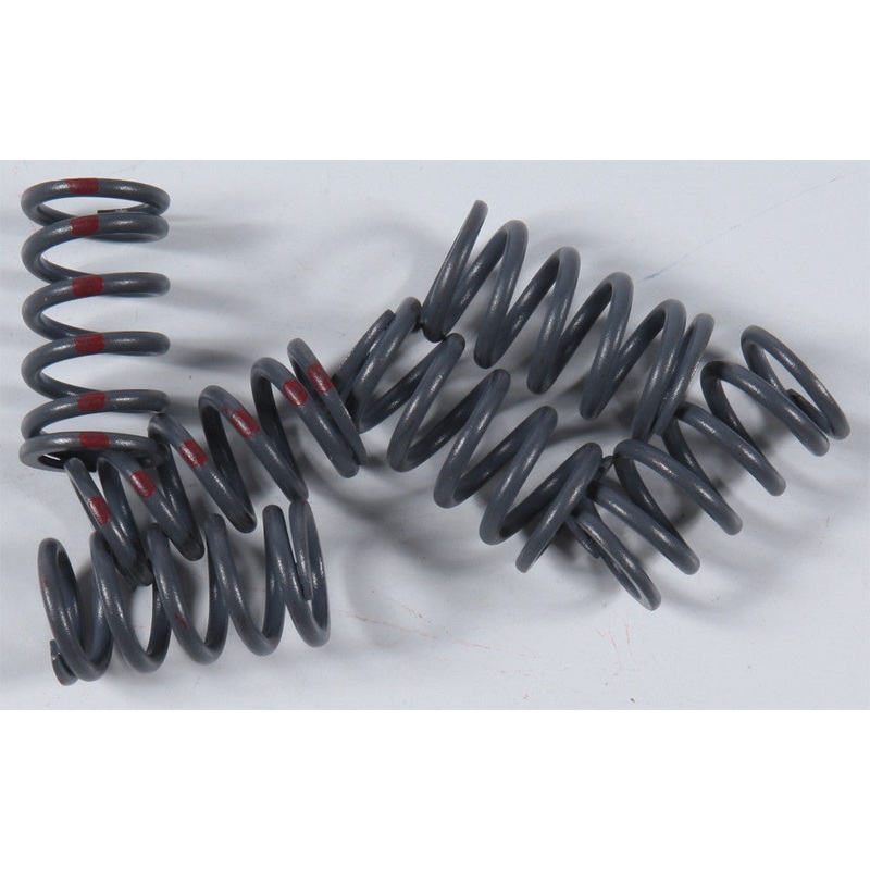 KG HIGH PERFORMANCE SPRING SET KGS-024